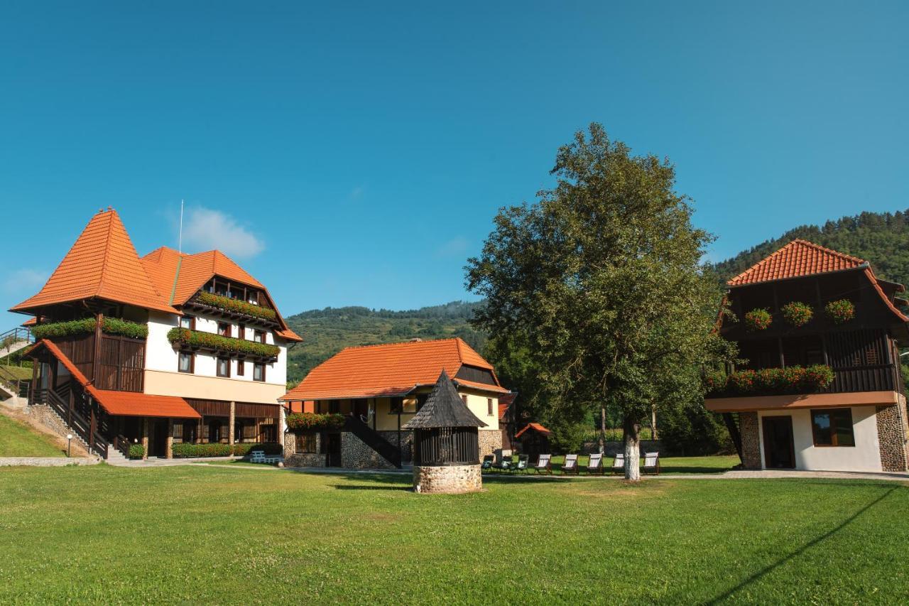 Villa Gherman Sălciua de Jos エクステリア 写真