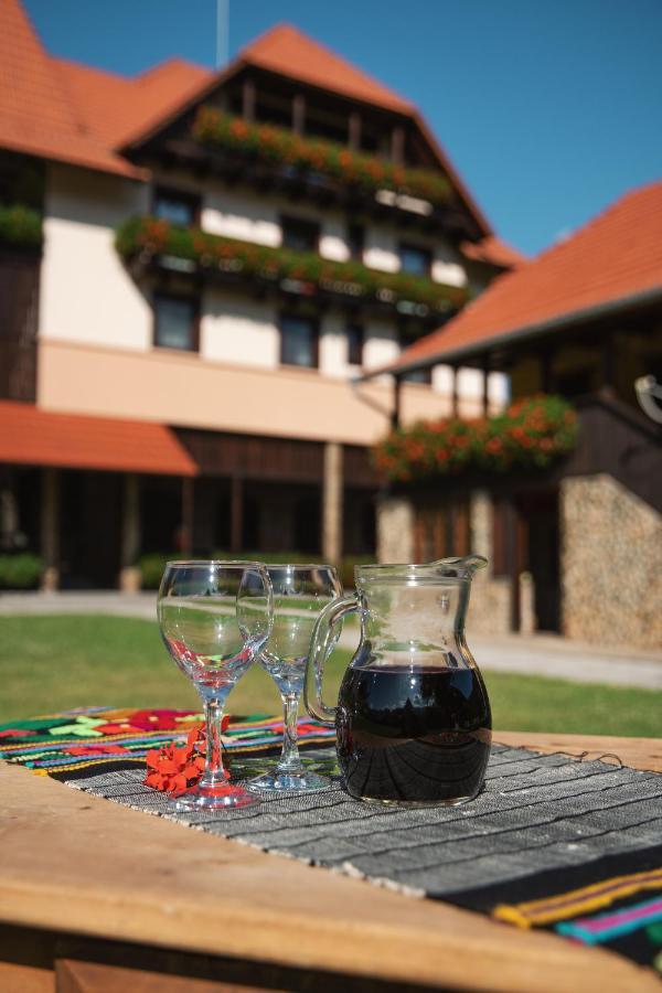 Villa Gherman Sălciua de Jos エクステリア 写真