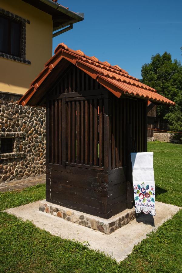 Villa Gherman Sălciua de Jos エクステリア 写真