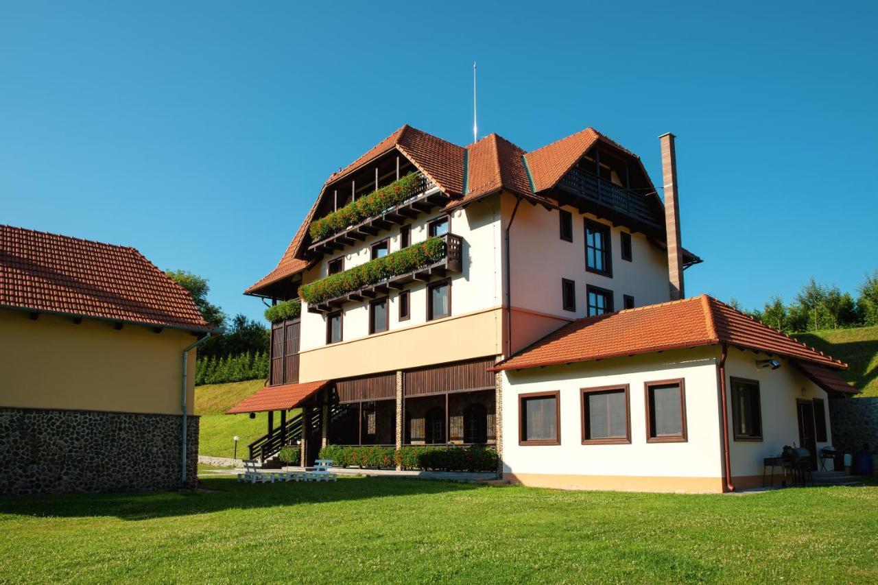 Villa Gherman Sălciua de Jos エクステリア 写真