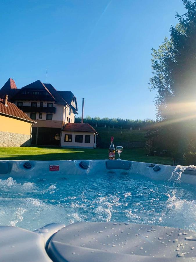 Villa Gherman Sălciua de Jos エクステリア 写真
