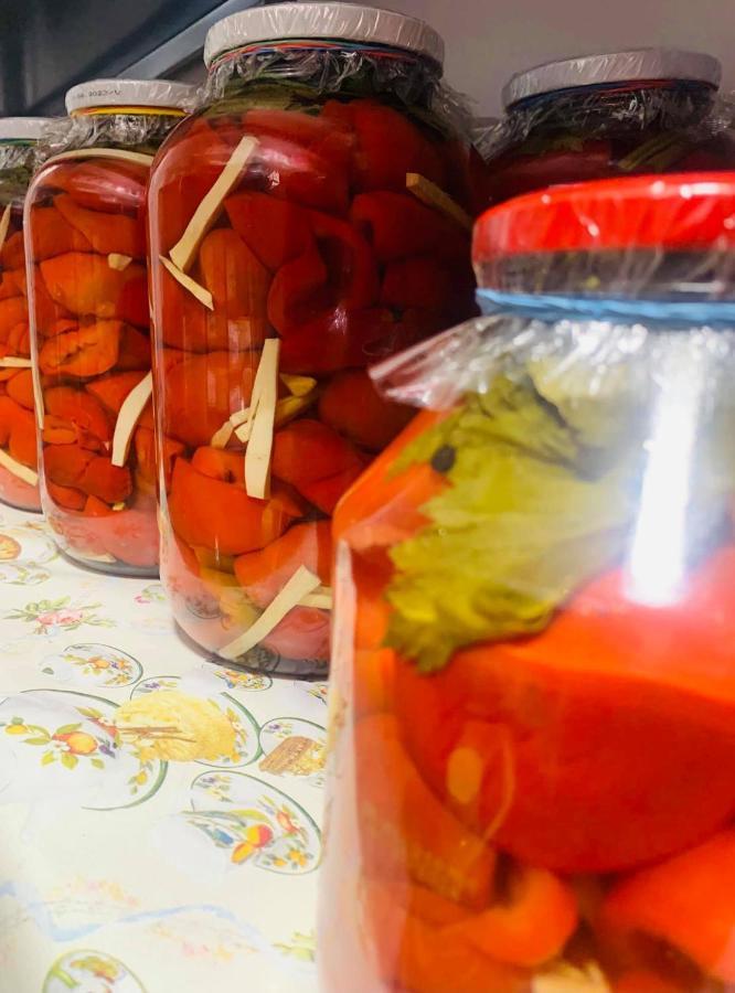 Villa Gherman Sălciua de Jos エクステリア 写真